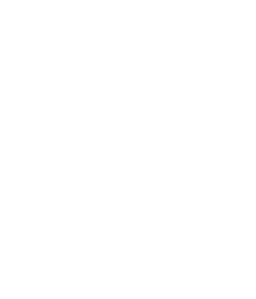 Bellflight